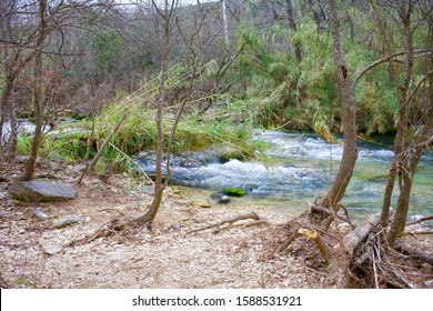 Barton Springs In Austin Texas USA