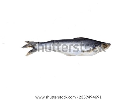 Basa fish is a type of catfish native to Vietnam, scientifically referred as Pangasius bocourti. It is also commonly called river cobbler, Vietnamese cobbler and swai.  Stock photo © 