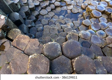 Basalt columns of Giants Causeway in Ireland - Powered by Shutterstock