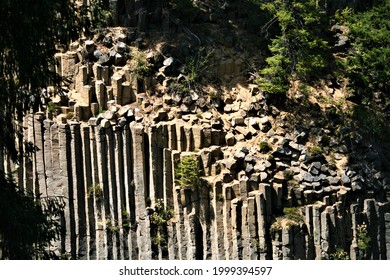 Basalt Columns In The Gifford Pinchot National Forest