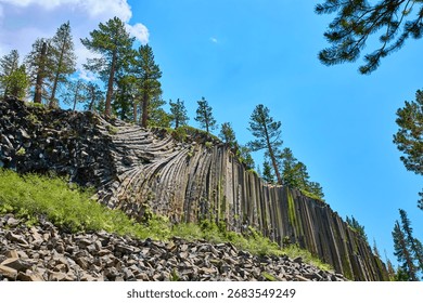 Basalt Columns and Pine Trees at Devils Postpile California Under Summer Blue Sky