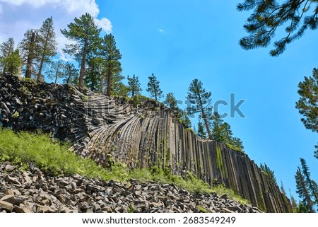 Basalt Columns and Pine Trees at Devils Postpile California Under Summer Blue Sky