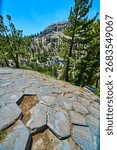 Basalt Columns Pine Trees and Mountain Landscape at Devils Postpile California