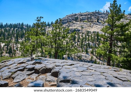 Basalt Rock Formations with Pine Trees at Devils Postpile California Mountain Landscape