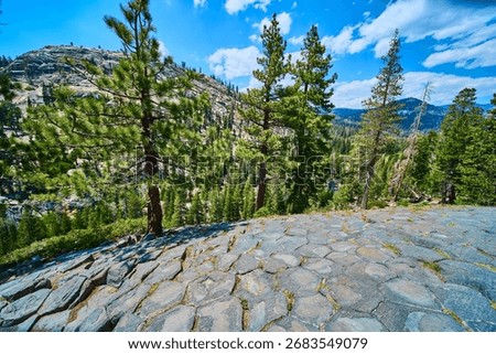 Basalt Rock Formations and Pine Trees at Devils Postpile California Sierra Mountains