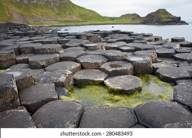 Basalt Rocks Of Giant's Causeway, Co. Antrim, Northern Ireland