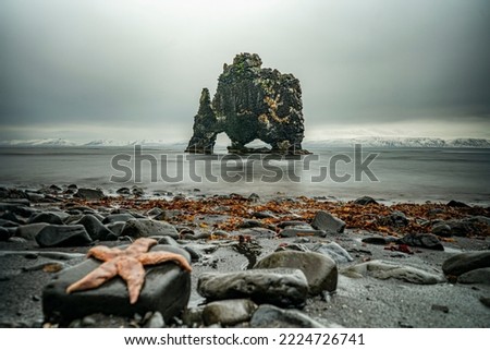 Hvítserkur basalt stack in shape of elephant or dragon drinking water with starfish on rock