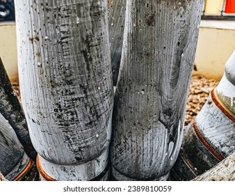 the base of a lush coconut tree.
