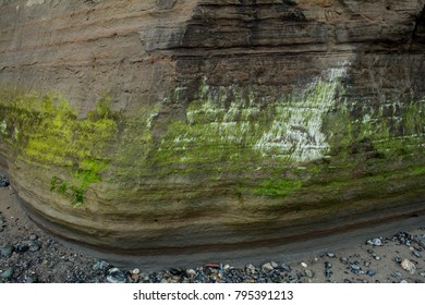 The Base Of The Magnolia Bluff In Seattle, Washington.