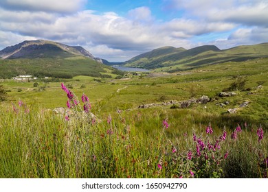 The Base Of Snowdonia During The Summer!