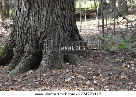 Base of a tree with a Hemlock sign in front of it. 