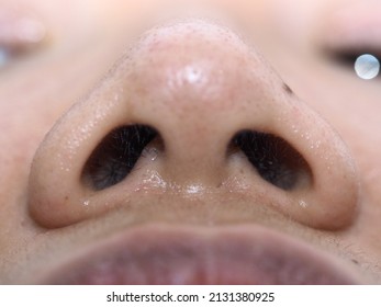 The Base View Of The Nose In Macro Photography Showing Nasal Passage And Nasal Hair 