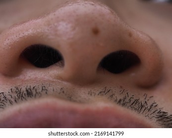 The Base View Of The Nose In Macro Photography Showing Nasal Passage