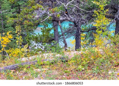 Base Of Widow Maker Rapids Through The Fall Colours. Bow Valley Wilderness Area, Alberta, Canada