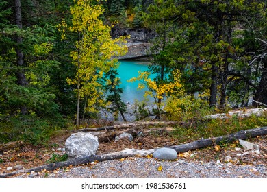 Base Of Widow Maker Rapids Through The Fall Colours. Bow Valley Wilderness Area, Alberta, Canada