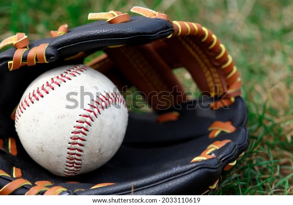 baseball ball with\
glove and bat on\
nature