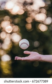 Baseball Ball Is Tossed In The Air. Cropped Image Of Man Catching Baseball Ball By Hand.