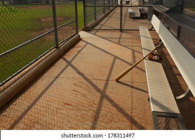 Baseball Bat and Glove on the bench of the dugout
