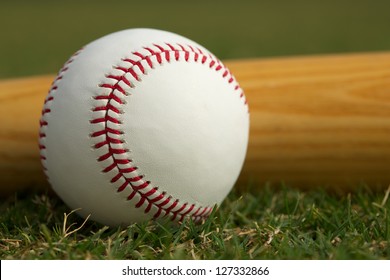 Baseball Close Up & Bat On The Grass