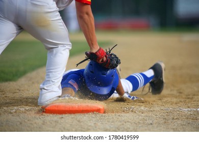 Stock Photo and Image Portfolio by Michael Rolands | Shutterstock