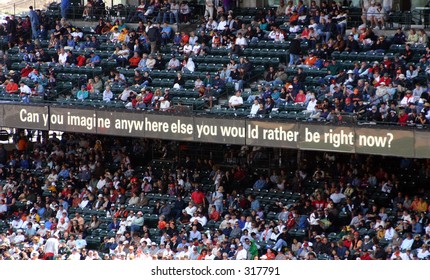 at a baseball game