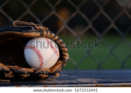 Baseball in glove close up sitting on dugout bench, copy space on blurred background.