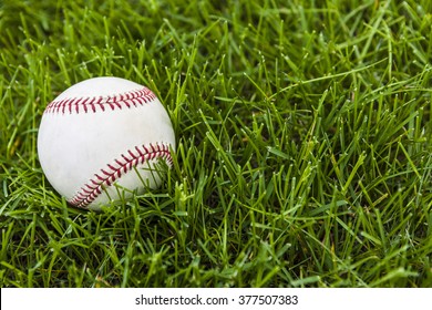 Baseball in green grass