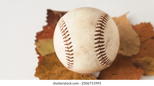 Baseball with leaves for fall ball concept with copy space on background. - Powered by Shutterstock