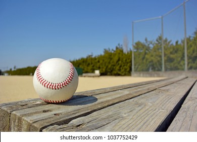 Baseball On Bench