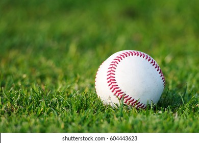 Baseball On The Clear Green Grass Turf Close-up As Macro Shot With Copy Space On The Left And Top