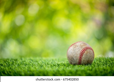 Baseball On Grass
