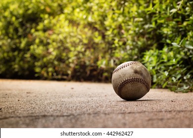 Baseball on the ground. Backlit. - Powered by Shutterstock