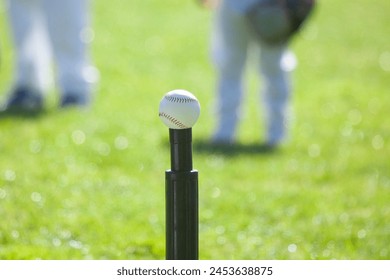 Baseball on Tee, grass background, t ball