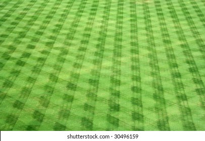 Baseball outfield grass