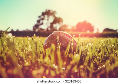 Baseball in the outfield grass. Very shallow depth of focus, focus on grass blades and front of baseball.  