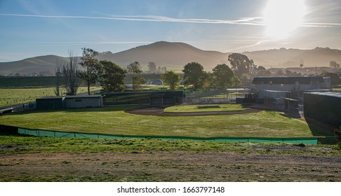 Baseball park under the sun in spring time ready for a game 