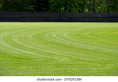 Baseball Softball Field And Field Maintenance Freshly Mowed Grass