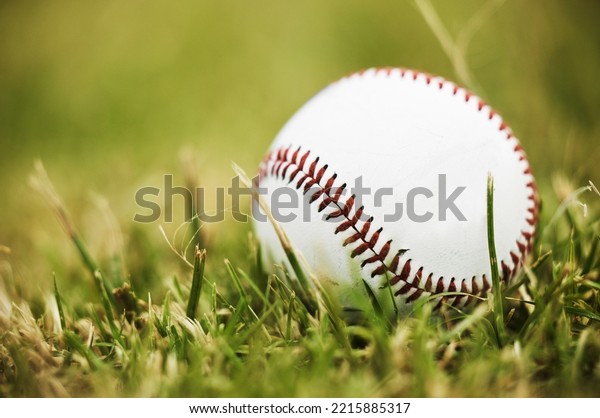 Baseball, sports and outdoor ball in nature on\
grass for a sport, exercise and fitness training. Pre game, workout\
match and active athlete equipment for a fun exercising activity on\
green plants