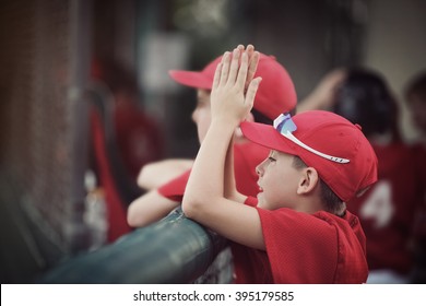 Baseball team in the dugout, cheering for their team, shallow focus, focus on hat.