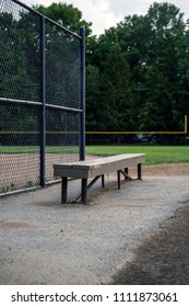 Baseball And Tennis Bleachers