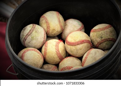 Baseballs in Bucket