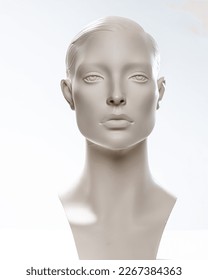 Based  on a Photo of a mannequin
					a creation for the representation of artificial intelligence has been created.