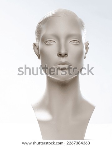 Based  on a Photo of a mannequin
a creation for the representation of artificial intelligence has been created.