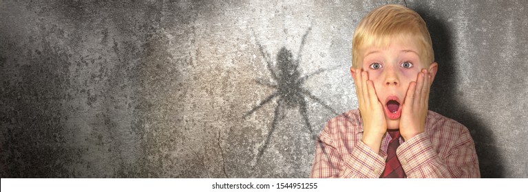 In the basement, a spider casts a large shadow on the wall, a boy in the basement is afraid of the spider