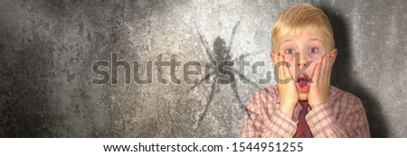 In the basement, a spider casts a large shadow on the wall, a boy in the basement is afraid of the spider