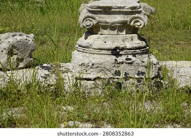 The bases and the ionic capital of a column that was part of a guesthouse (Leonidaion) for wealthy visitors and participants to the ancient Olympic Games in Olympia, Greece, that was constructed around 330 BC covering an expansive area of over 6000 square meters