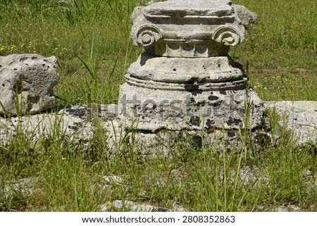 The bases and the ionic capital of a column that was part of a guesthouse (Leonidaion) for wealthy visitors and participants to the ancient Olympic Games in Olympia, Greece, that was constructed around 330 BC covering an expansive area of over 6000 square meters