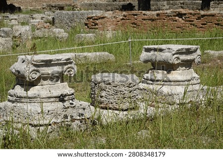 The bases and the ionic capitals of columns that were part of a guesthouse (Leonidaion) for wealthy visitors and participants to the ancient Olympic Games in Olympia, Greece, that was constructed around 330 BC covering an expansive area of over 6000 square meters