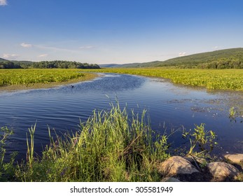 Bashakill Wildlife Management Area On The Summer Day. Upstate New York.