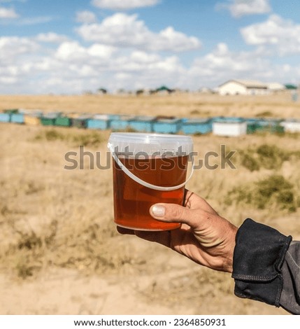 Bashkir bee honey is poured into jars. Harvesting Bashkir honey. Honey in an apiary against the background of hives.